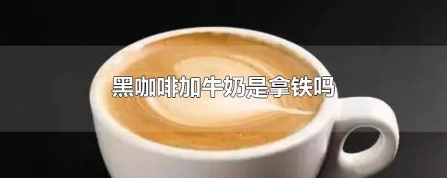 黑咖啡加牛奶是拿铁吗 黑咖啡加牛奶是拿铁吗