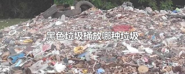 黑色垃圾桶放哪种垃圾