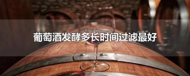 葡萄酒发酵多长时间过滤最好 葡萄酒发酵多长时间过滤最好
