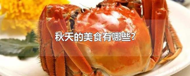 秋天的美食有哪些?
