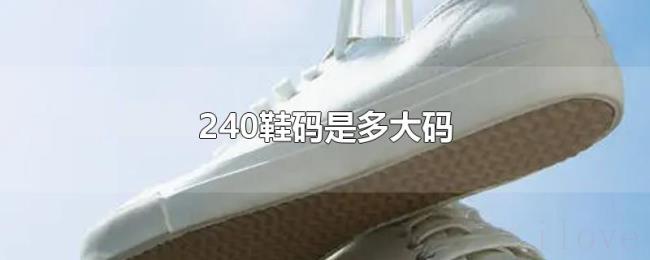 240鞋码是多大码