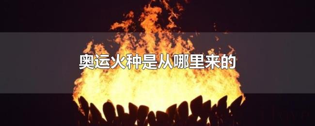 奥运火种是从哪里来的