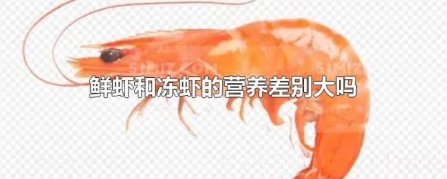 鲜虾和冻虾的营养差别大吗