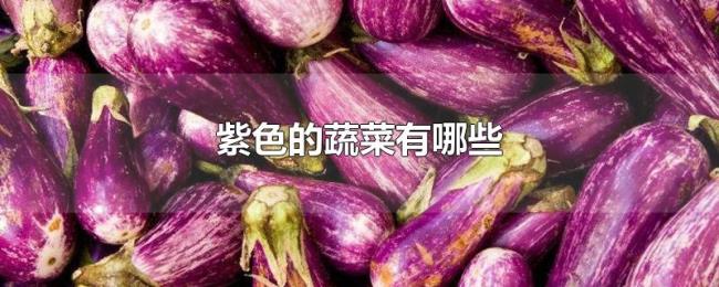 紫色的蔬菜有哪些 紫色的蔬菜有哪些