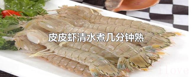 皮皮虾清水煮几分钟熟 皮皮虾清水煮几分钟熟