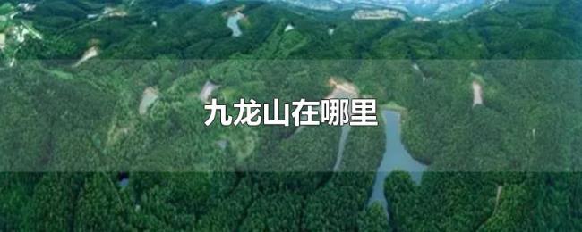 九龙山在哪里 九龙山在哪里