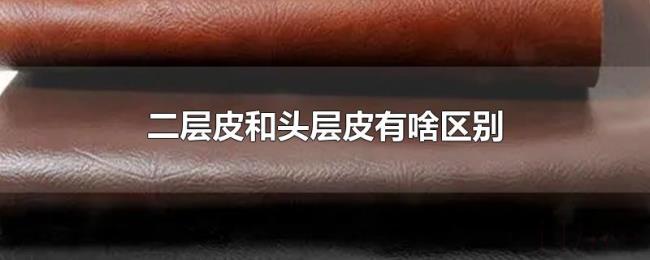 二层皮和头层皮有啥区别 二层皮和头层皮有啥区别