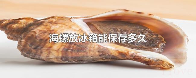 海螺放冰箱能保存多久 海螺放冰箱能保存多久