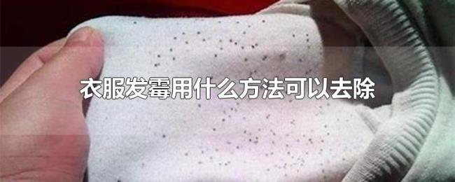 衣服发霉用什么方法可以去除 衣服发霉用什么方法可以去除