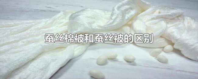 蚕丝棉被和蚕丝被的区别 蚕丝棉被和蚕丝被的区别