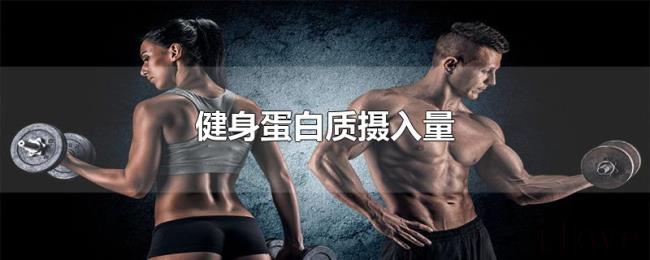 健身蛋白质摄入量