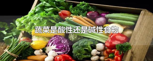 蔬菜是酸性还是碱性食物 蔬菜是酸性还是碱性食物