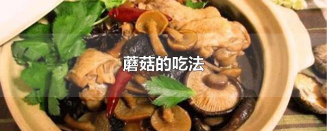 蘑菇的吃法 蘑菇的吃法
