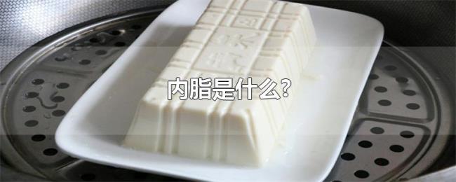 内脂是什么? 内脂是什么?
