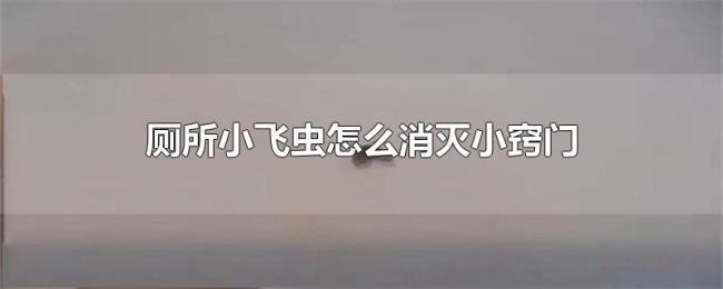 厕所小飞虫怎么消灭小窍门