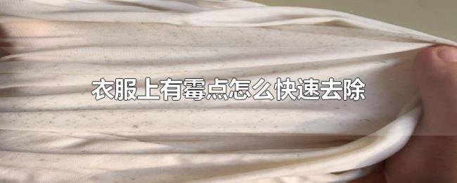 衣服上有霉点怎么快速去除 衣服上有霉点怎么快速去除
