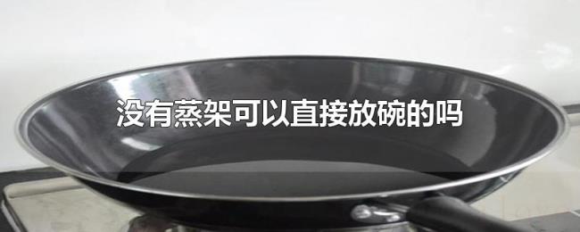 没有蒸架可以直接放碗的吗 没有蒸架可以直接放碗的吗