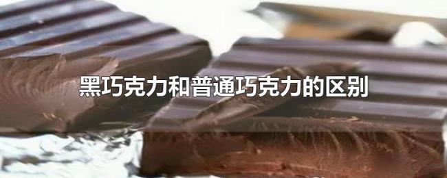 黑巧克力和普通巧克力的区别 黑巧克力和普通巧克力的区别