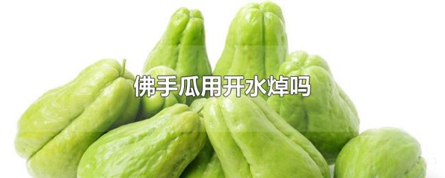 佛手瓜用开水焯吗