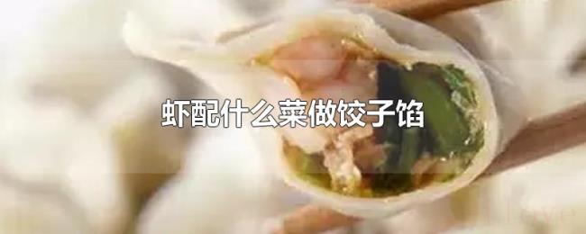 虾配什么菜做饺子馅 虾配什么菜做饺子馅