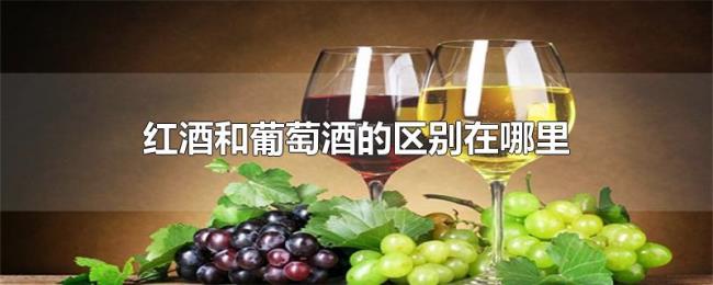 红酒和葡萄酒的区别在哪里 红酒和葡萄酒的区别在哪里