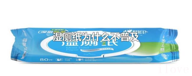 湿厕纸为什么不普及 湿厕纸为什么不普及