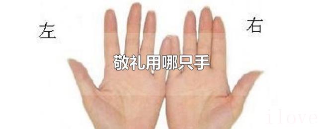 敬礼用哪只手