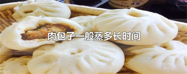 肉包子一般蒸多长时间 肉包子一般蒸多长时间