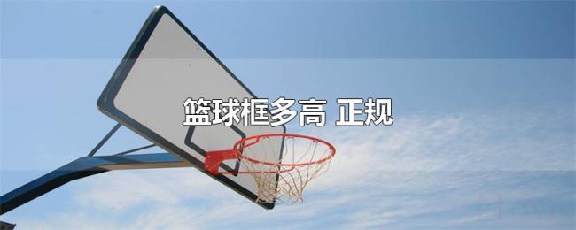 篮球框多高（正规）