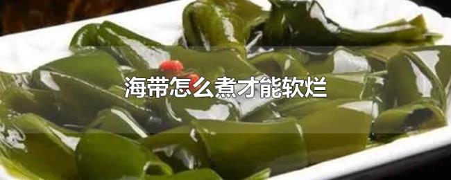 海带怎么煮才能软烂 海带怎么煮才能软烂