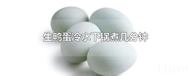 生鸭蛋冷水下锅煮几分钟