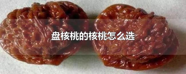 盘核桃的核桃怎么选