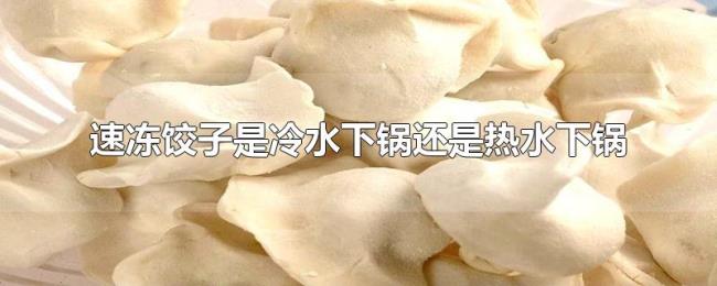 速冻饺子是冷水下锅还是热水下锅