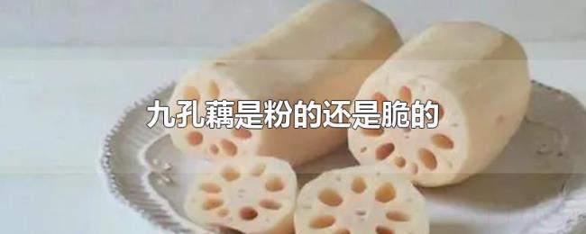 九孔藕是粉的还是脆的 九孔藕是粉的还是脆的