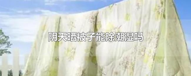 阴天晒被子能除潮湿吗