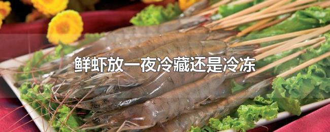 鲜虾放一夜冷藏还是冷冻