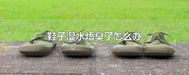 鞋子湿水焐臭了怎么办 鞋子湿水焐臭了怎么办