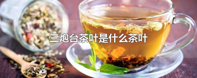 三炮台茶叶是什么茶叶