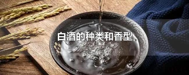 白酒的种类和香型