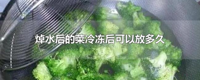 焯水后的菜冷冻后可以放多久
