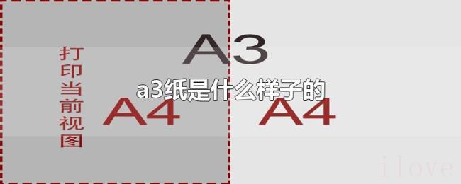 a3纸是什么样子的
