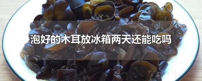 泡好的木耳放冰箱两天还能吃吗
