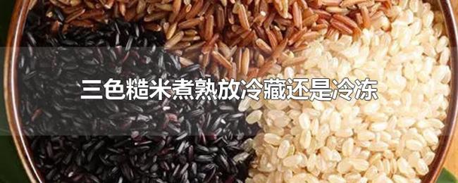 三色糙米煮熟放冷藏还是冷冻 三色糙米煮熟放冷藏还是冷冻