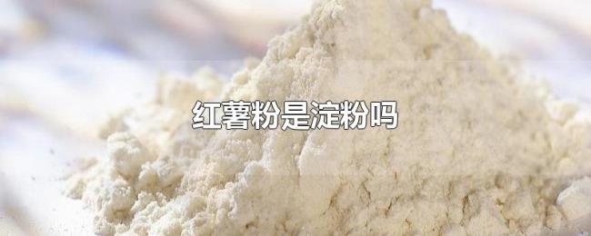 红薯粉是淀粉吗 红薯粉是淀粉吗
