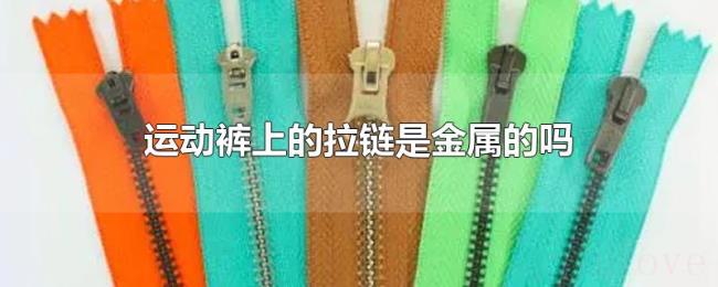运动裤上的拉链是金属的吗 运动裤上的拉链是金属的吗