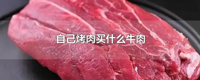自己烤肉买什么牛肉