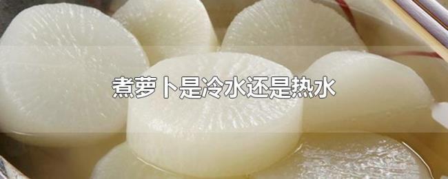 煮萝卜是冷水还是热水 煮萝卜是冷水还是热水