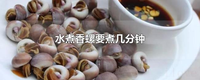 水煮香螺要煮几分钟 水煮香螺要煮几分钟