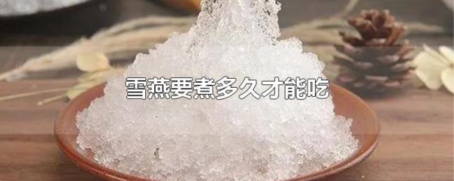 雪燕要煮多久才能吃 雪燕要煮多久才能吃