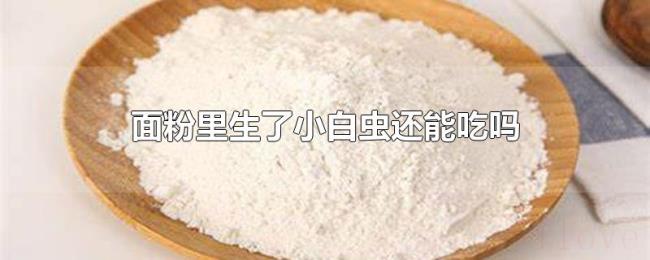 面粉里生了小白虫还能吃吗 面粉里生了小白虫还能吃吗